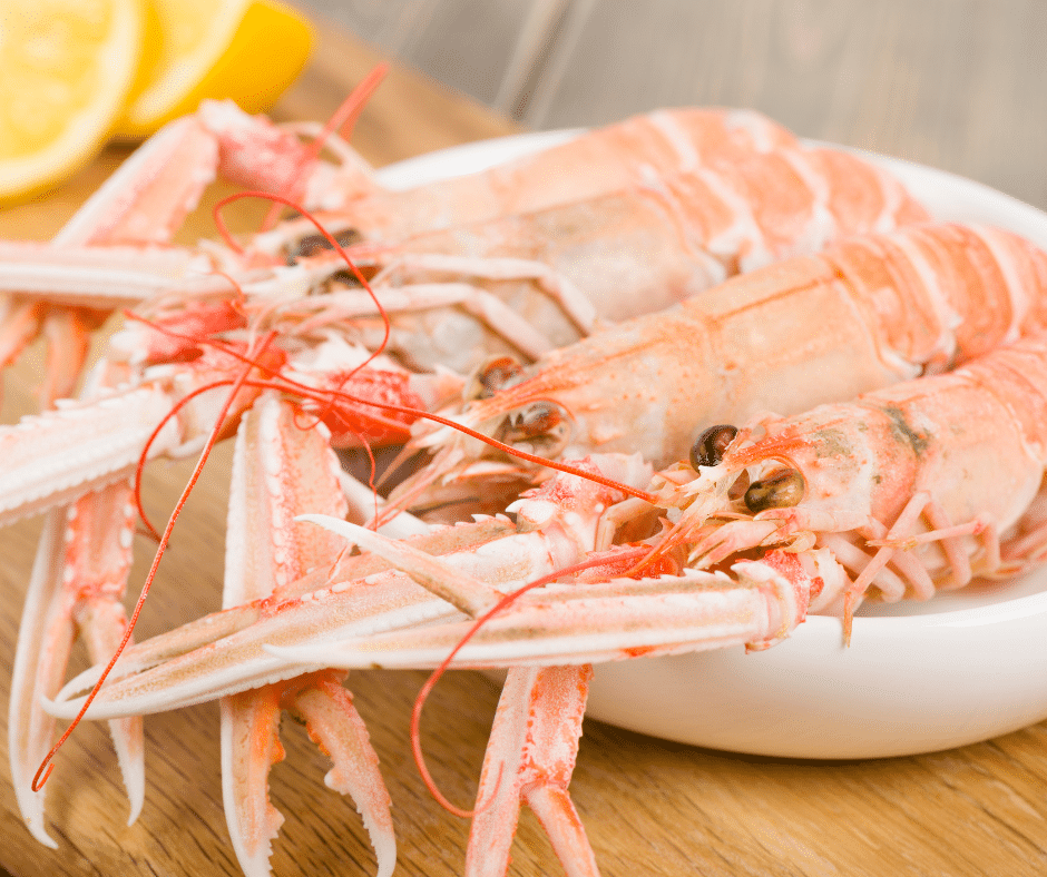 Fête de la langoustine dans le Finistère sud à Plobannalec-Lesconil